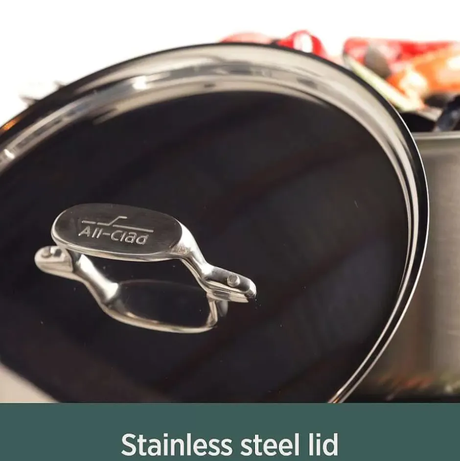 Bd5 Stainless Steel 4 Qt. Soup Pot And Ladle Set>All-Clad Online