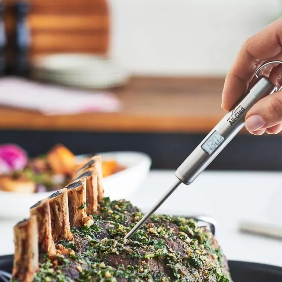 Digital Instant Read Thermometer>All-Clad Fashion