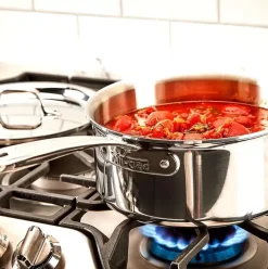 D3 Stainless Everyday 3-Ply Bonded Cookware, Sauce Pan With Lid, 3 Quart>All-Clad Fashion