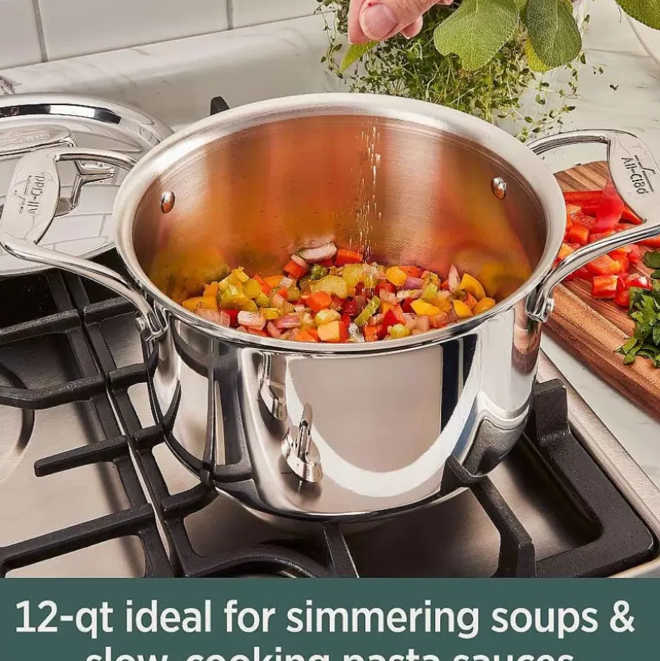 D5 Stainless Polished 5-Ply Bonded Cookware, Stockpot With Lid, 12 Quart>All-Clad Clearance