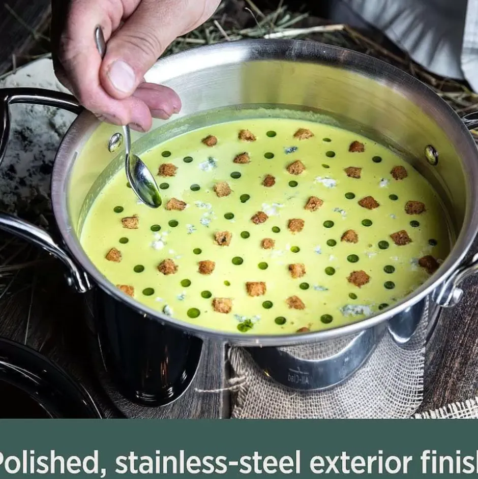 D5 Stainless Polished 5-Ply Bonded Cookware, Steamer Set, 3 Quart>All-Clad Sale
