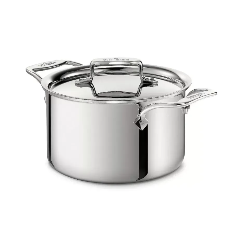 D5 Stainless Polished 5-Ply Bonded Cookware, 4 Qt Pot With Lid>All-Clad Best