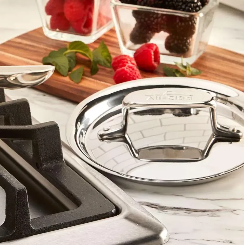 D5 Stainless Polished 5-Ply Bonded Cookware, Deep Fryer Set With Lid And Basket, 6 Quart>All-Clad Outlet