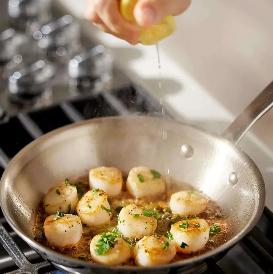 G5® Graphite Core Stainless Steel 5-Ply Bonded Cookware, Skillet, 8.5 Inch>All-Clad Sale