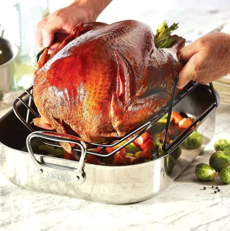 Gourmet Accessories, Large Stainless Steel Nonstick Roaster With Rack, 13 X 16 Inch>All-Clad Clearance