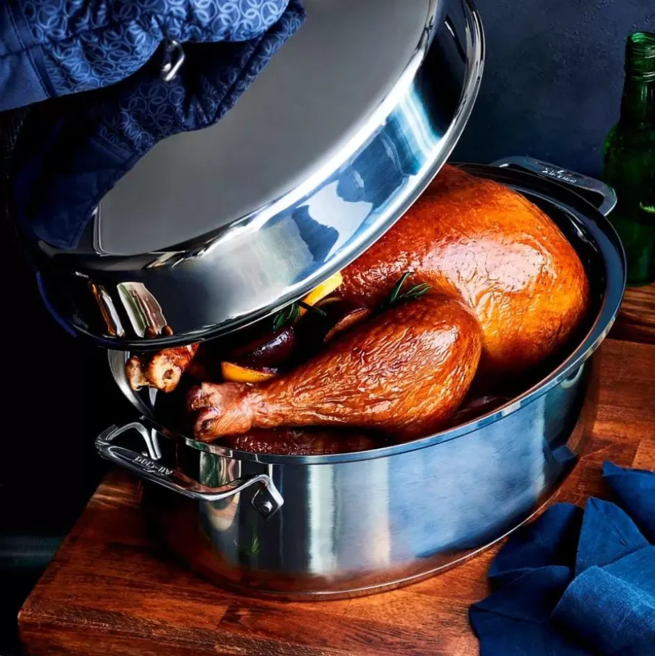 Gourmet Accessories, Stainless Steel Oval Roaster Roaster With Lid And Flat Rack, 19 X 12 X 10 Inch>All-Clad Hot