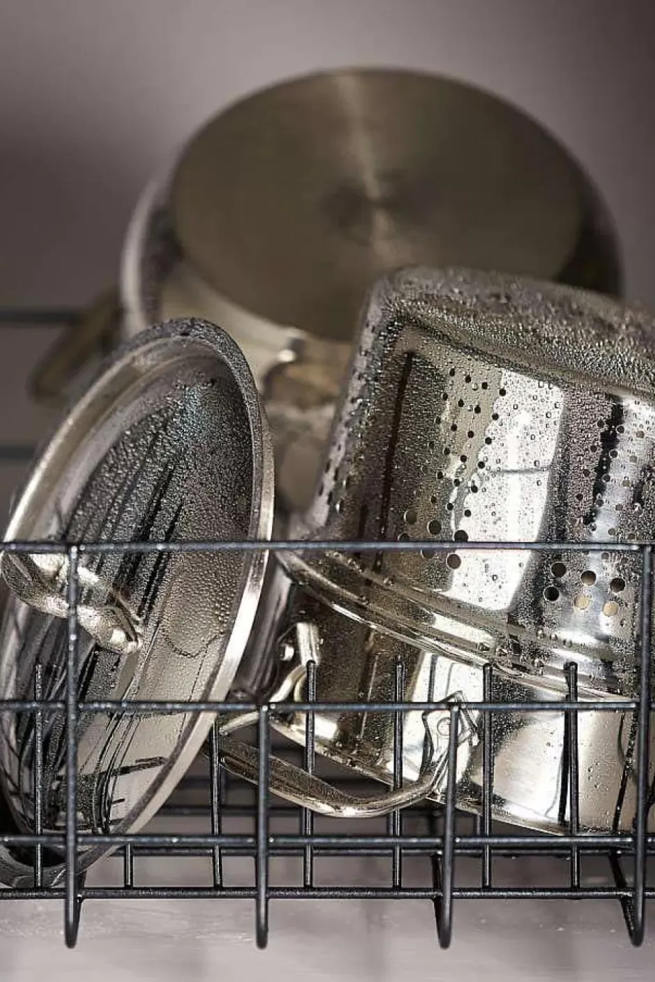 Gourmet Accessories, Stainless Steel Multi-Cooker, 16 Quart>All-Clad Best