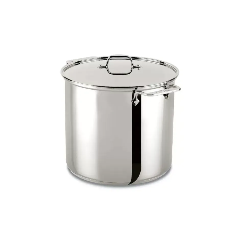 Gourmet Accessories, Stainless Steel Stockpot With Lid, 16 Quart>All-Clad Fashion