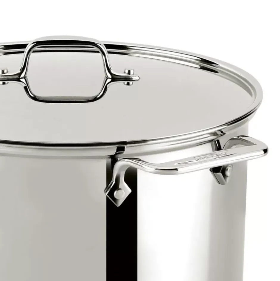 Gourmet Accessories, Stainless Steel Multi-Pot With Lid, Perforated Insert And Steaming Insert, 8 Quart>All-Clad Hot