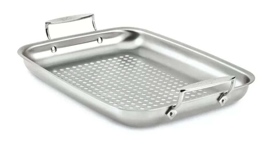 Outdoor Stainless Steel Roaster, 11 X 15 Inch>All-Clad Hot