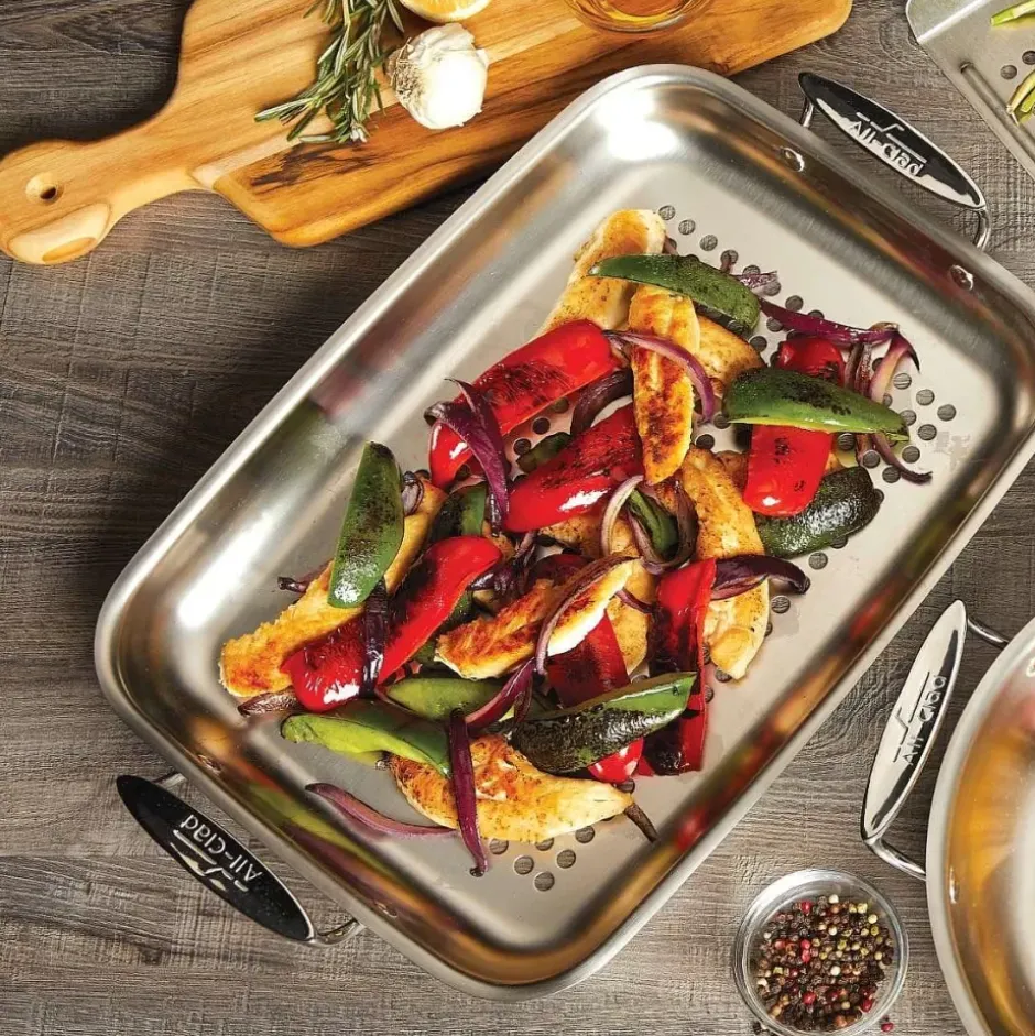 Outdoor Stainless Steel Roaster, 11 X 15 Inch>All-Clad Hot